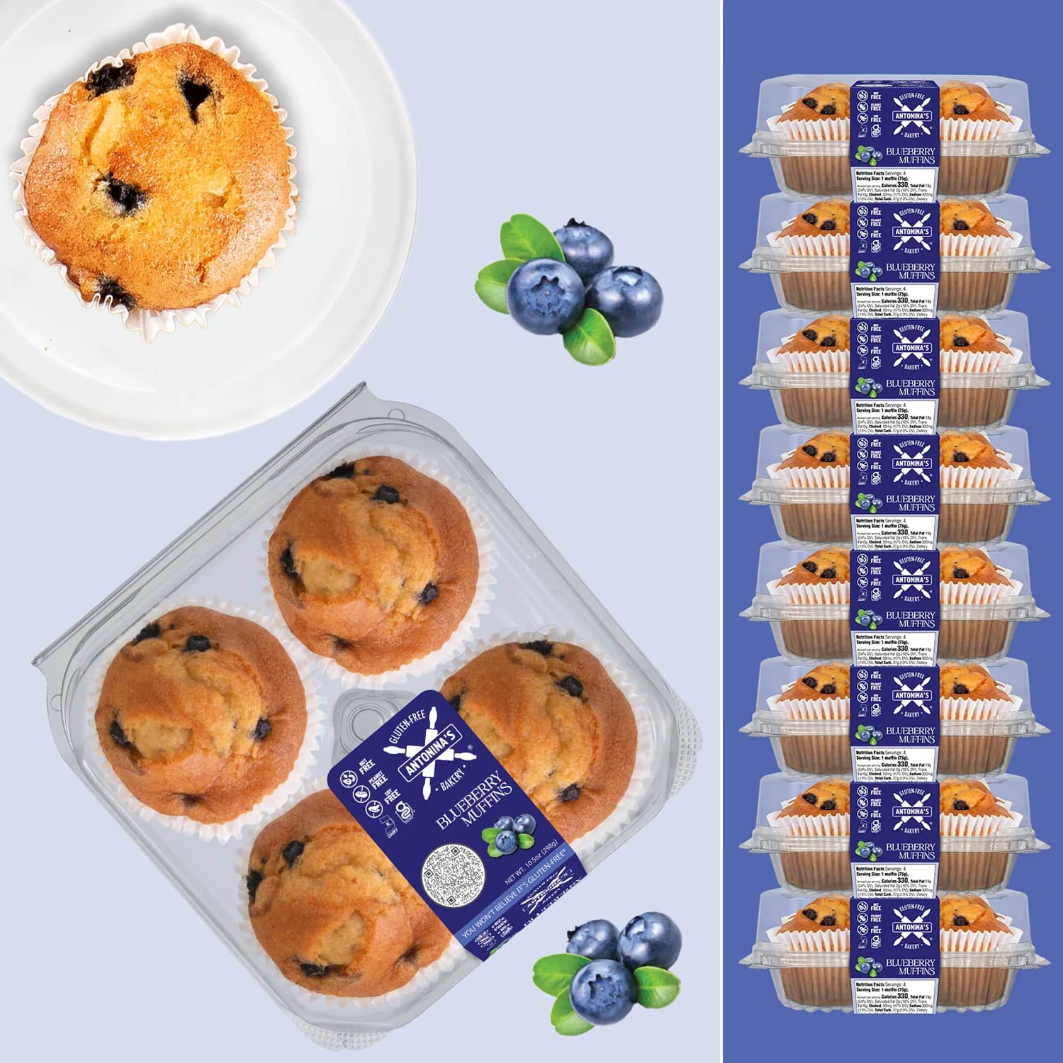 BLUEBERRY MUFFINS